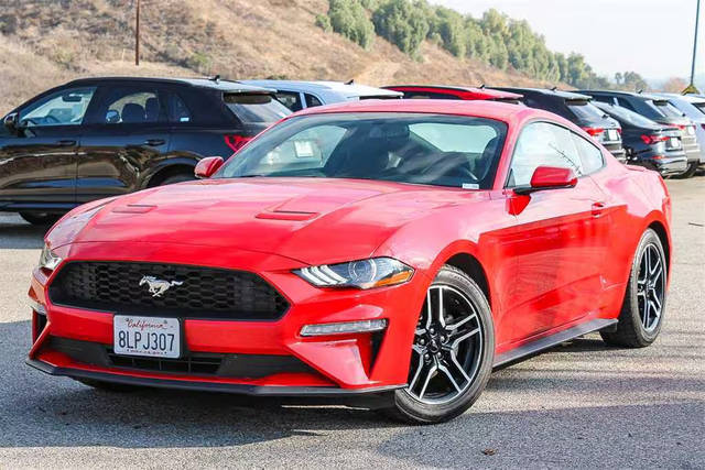 2019 Ford Mustang EcoBoost RWD photo