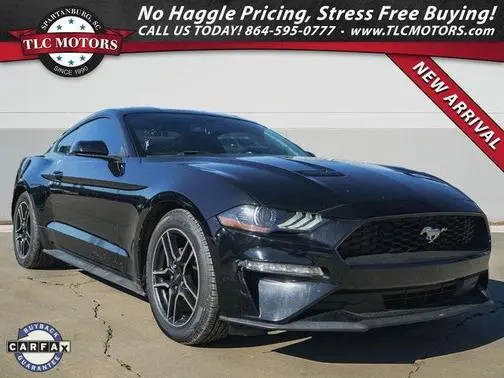 2019 Ford Mustang EcoBoost RWD photo