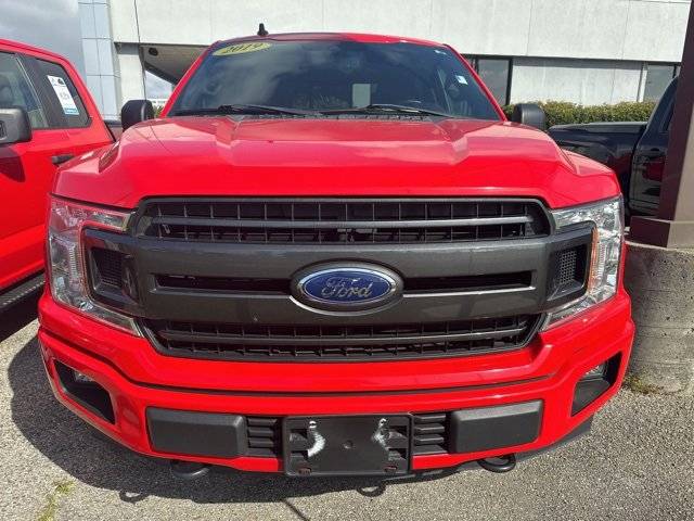 2019 Ford F-150 XLT 4WD photo