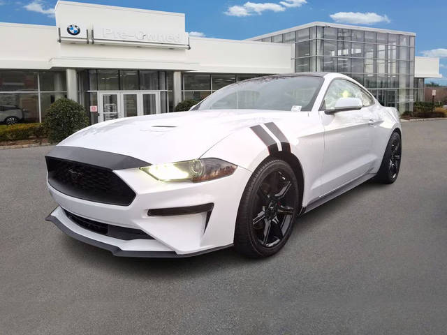 2019 Ford Mustang EcoBoost RWD photo