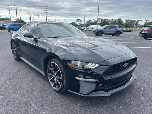 2019 Ford Mustang EcoBoost RWD photo