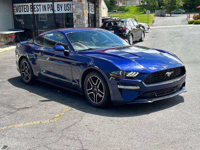 2019 Ford Mustang EcoBoost RWD photo