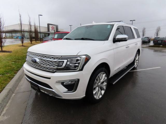 2019 Ford Expedition Platinum 4WD photo