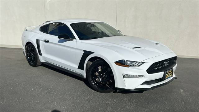 2019 Ford Mustang EcoBoost RWD photo