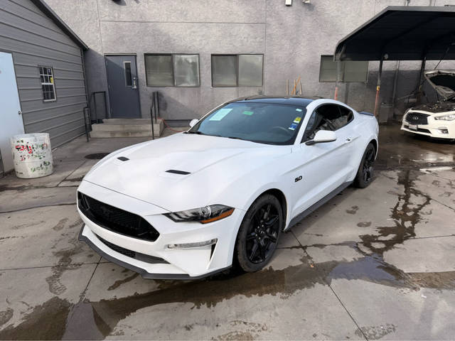 2019 Ford Mustang GT RWD photo