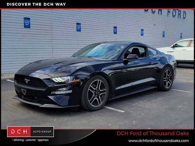 2019 Ford Mustang EcoBoost RWD photo