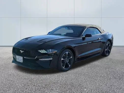 2019 Ford Mustang EcoBoost RWD photo