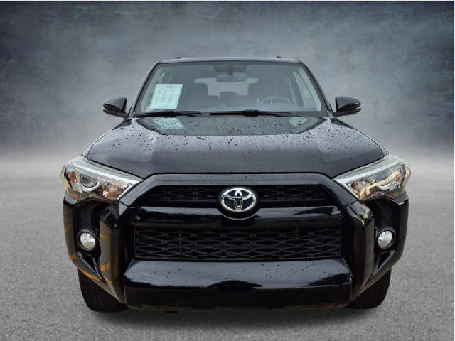 2019 Toyota 4Runner SR5 Premium 4WD photo