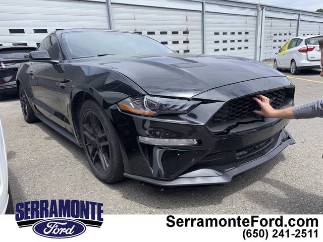2019 Ford Mustang EcoBoost RWD photo