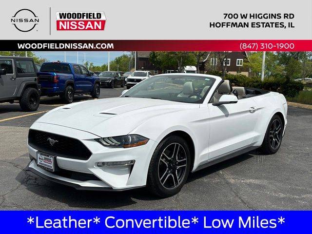 2019 Ford Mustang EcoBoost RWD photo