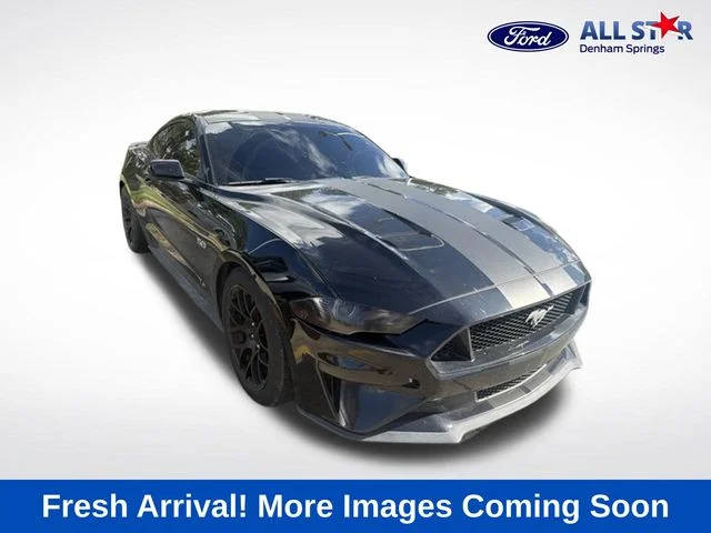 2019 Ford Mustang GT RWD photo