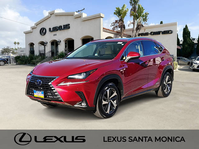 2019 Lexus NX NX 300h AWD photo