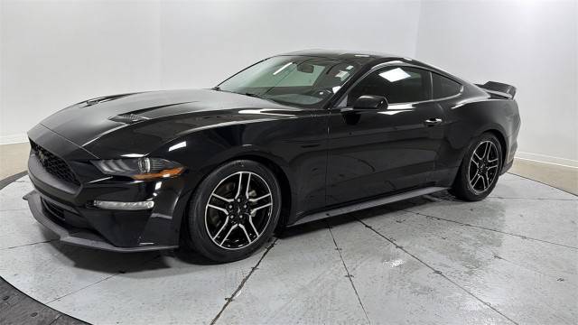 2019 Ford Mustang EcoBoost RWD photo