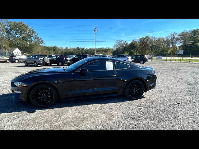 2019 Ford Mustang EcoBoost RWD photo