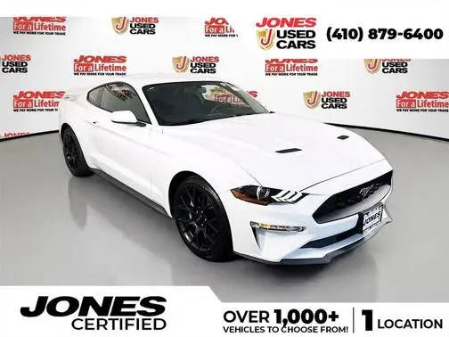 2019 Ford Mustang EcoBoost RWD photo