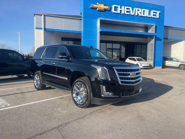 2019 Cadillac Escalade Premium Luxury 4WD photo