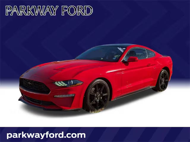 2019 Ford Mustang EcoBoost RWD photo