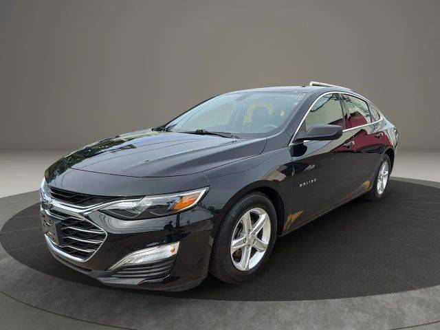 2019 Chevrolet Malibu LS FWD photo