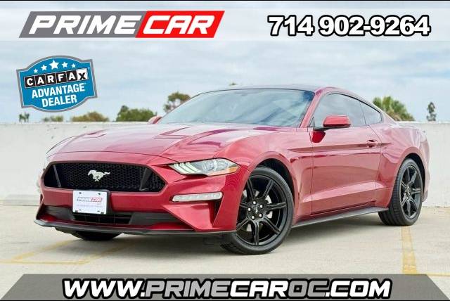 2019 Ford Mustang EcoBoost RWD photo