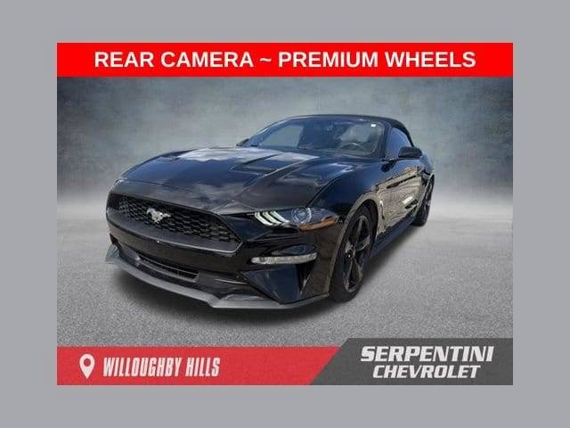 2019 Ford Mustang EcoBoost Premium RWD photo