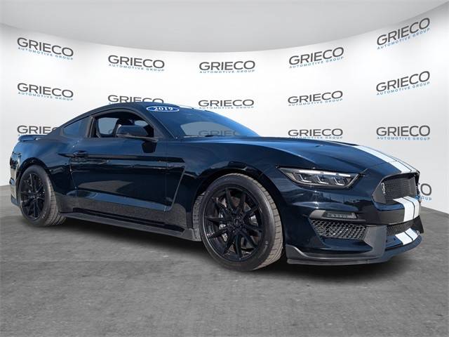 2019 Ford Mustang Shelby GT350 RWD photo