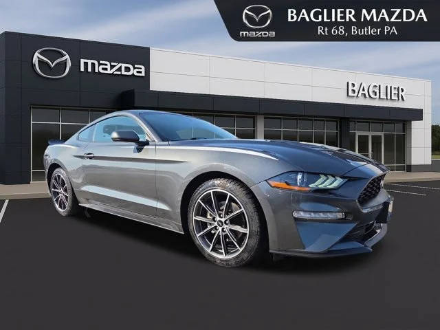 2019 Ford Mustang EcoBoost RWD photo