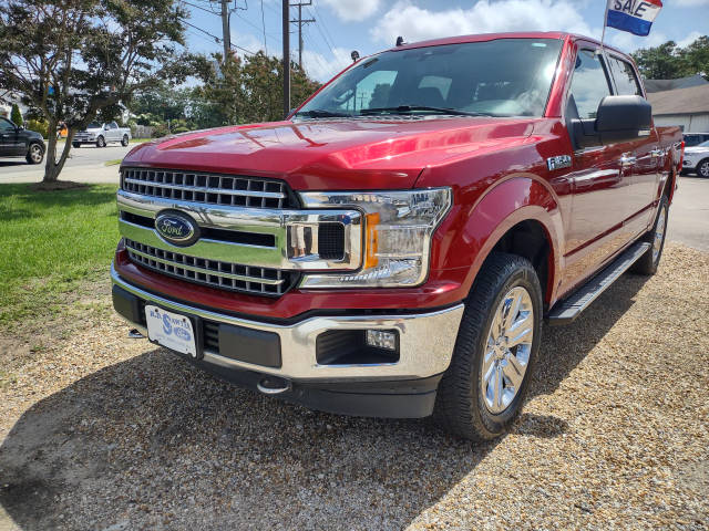 2019 Ford F-150 XLT 4WD photo