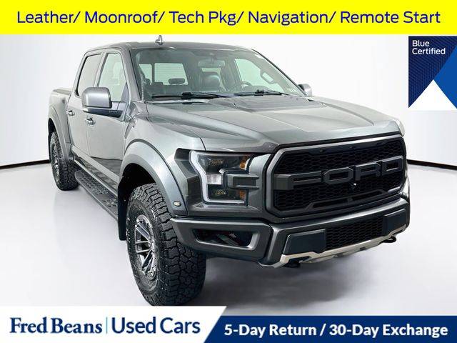 2019 Ford F-150 Raptor 4WD photo