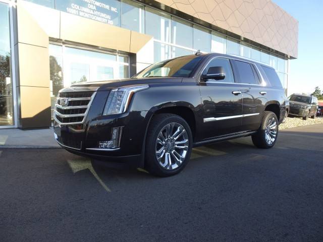 2019 Cadillac Escalade Premium Luxury 4WD photo