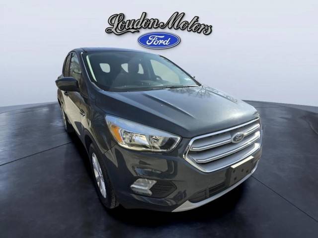 2019 Ford Escape SE 4WD photo