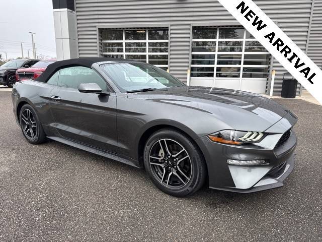 2019 Ford Mustang EcoBoost RWD photo