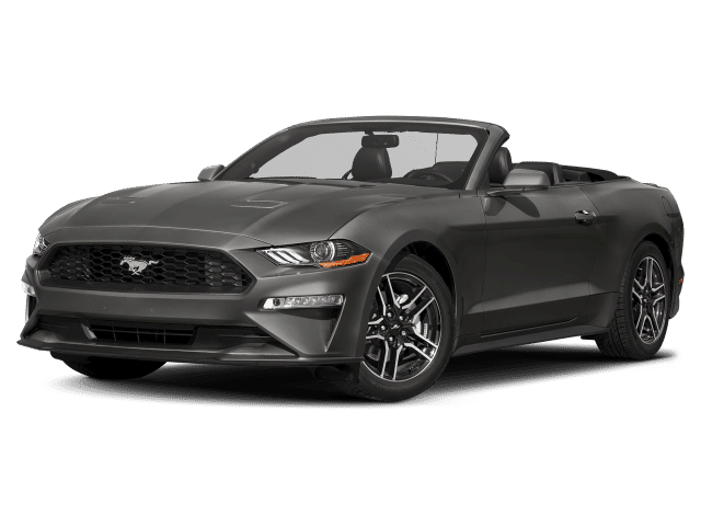 2019 Ford Mustang EcoBoost RWD photo