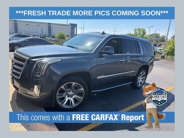 2019 Cadillac Escalade Luxury 4WD photo