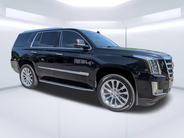 2019 Cadillac Escalade Luxury RWD photo