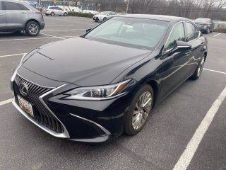2019 Lexus ES ES 350 Luxury FWD photo
