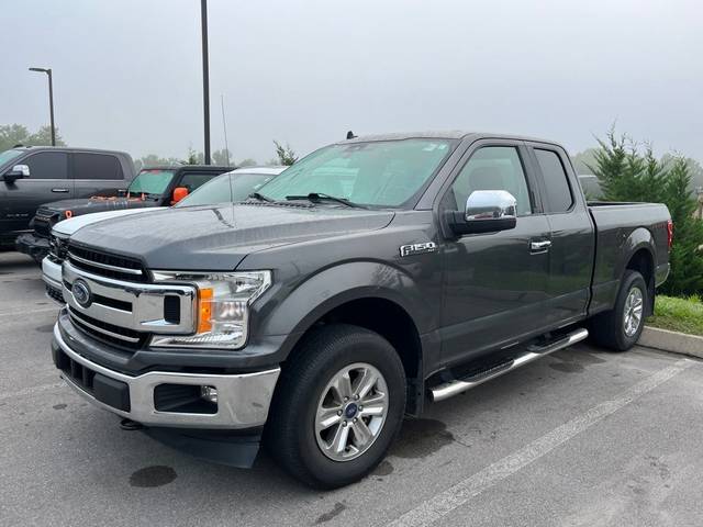 2019 Ford F-150 XLT 4WD photo