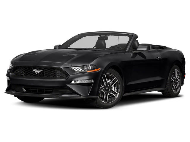 2019 Ford Mustang GT Premium RWD photo