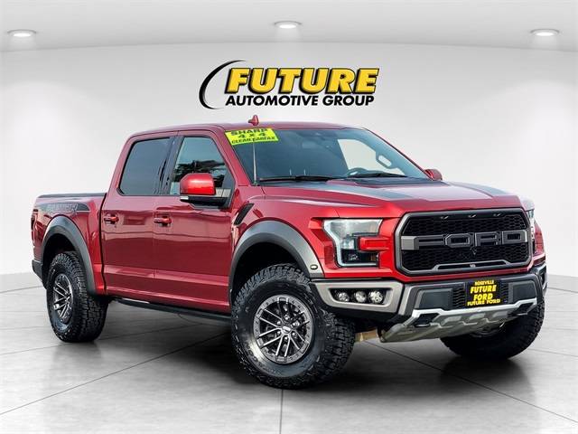 2019 Ford F-150 Raptor 4WD photo