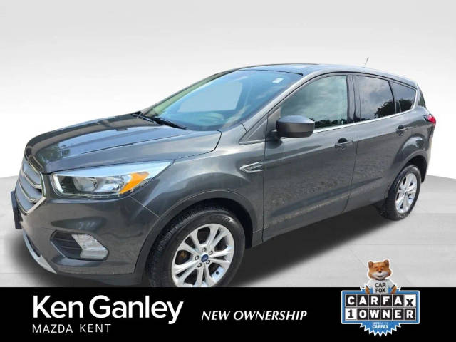 2019 Ford Escape SE FWD photo