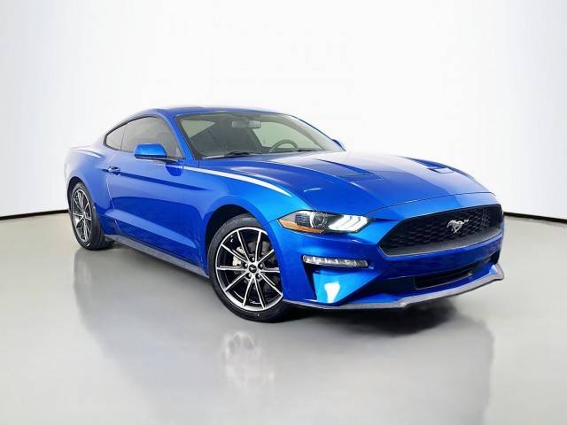 2019 Ford Mustang EcoBoost RWD photo