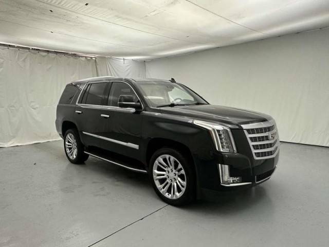 2019 Cadillac Escalade Luxury RWD photo