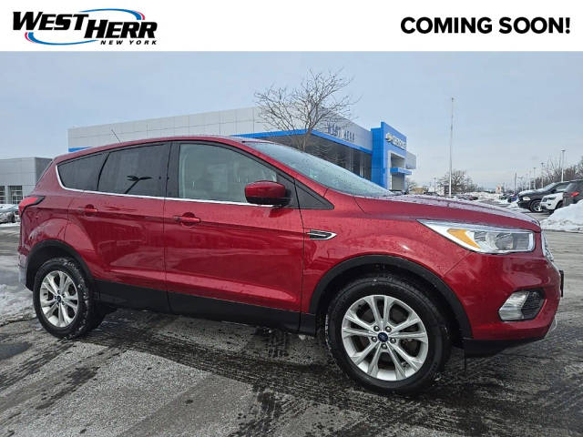 2019 Ford Escape SE 4WD photo