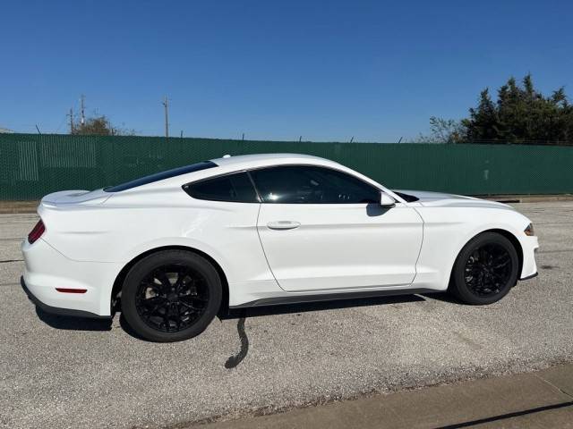 2019 Ford Mustang EcoBoost RWD photo
