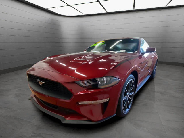 2019 Ford Mustang EcoBoost RWD photo