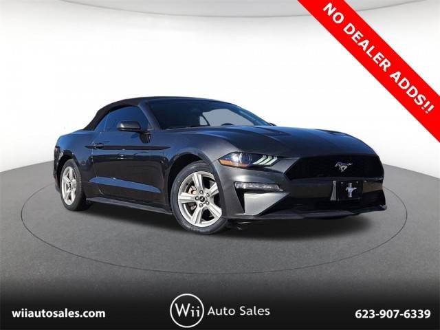 2019 Ford Mustang EcoBoost RWD photo