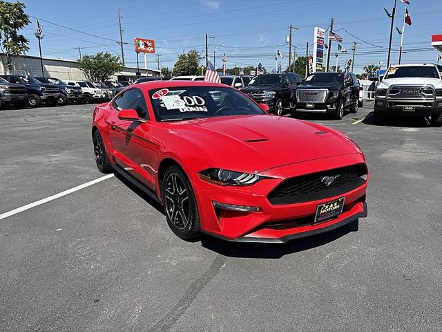 2019 Ford Mustang EcoBoost RWD photo