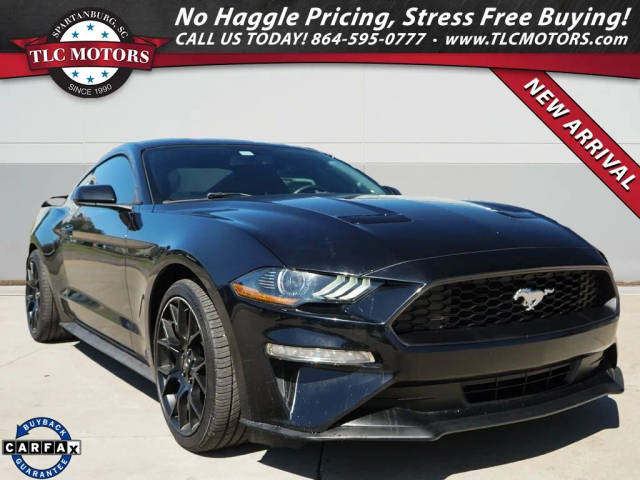 2019 Ford Mustang EcoBoost RWD photo
