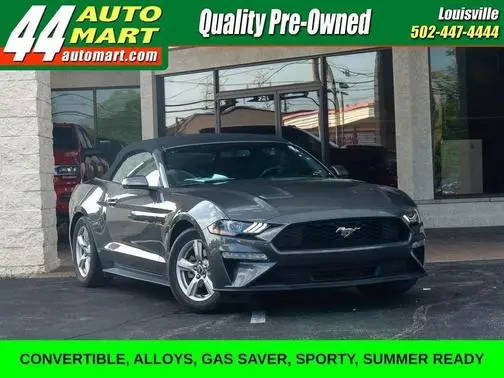 2019 Ford Mustang EcoBoost RWD photo