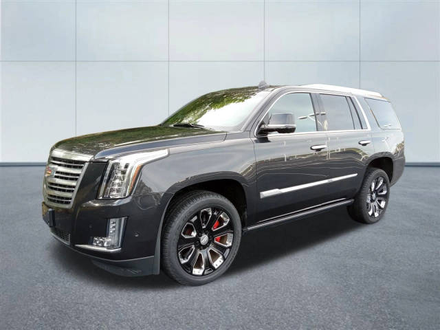 2019 Cadillac Escalade Platinum 4WD photo
