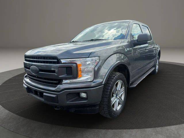 2019 Ford F-150 XLT 4WD photo